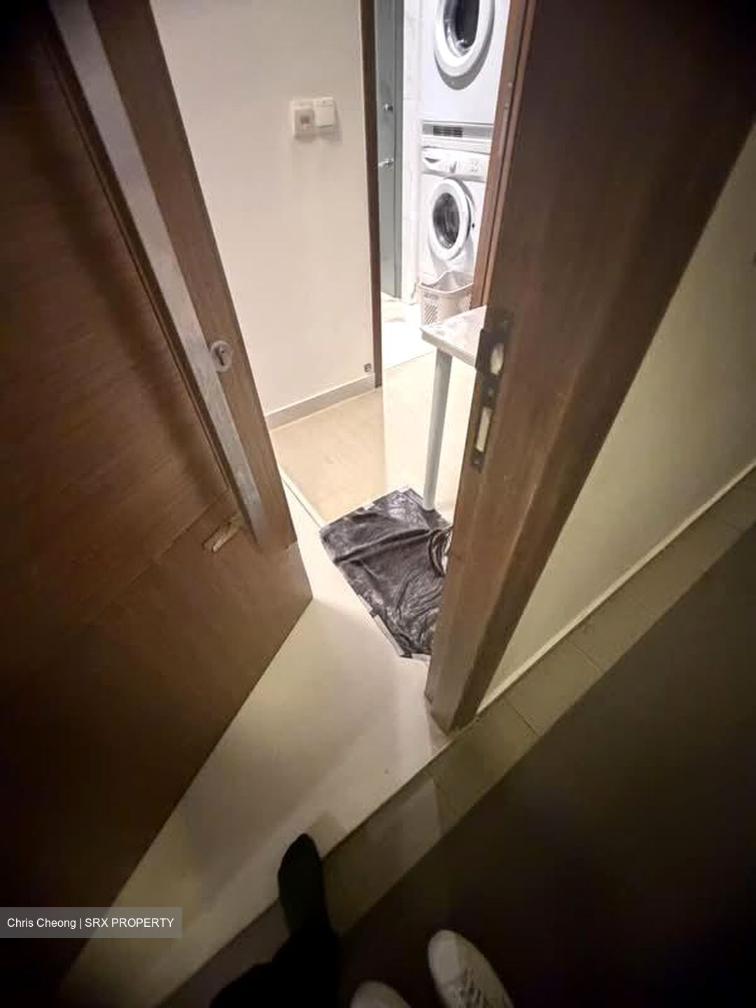 Loft @ Nathan (D10), Apartment #578731641